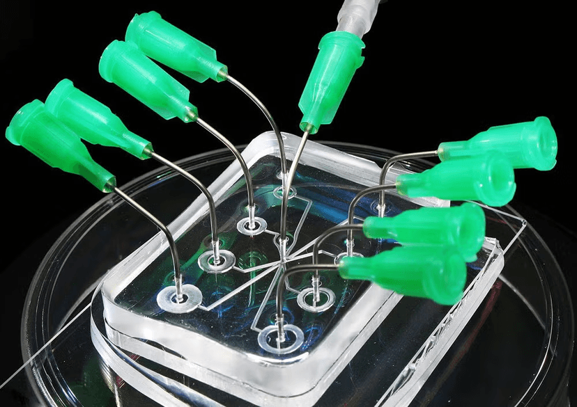 Microfluidics & Bio-microsystems (Lab-on-Chip)