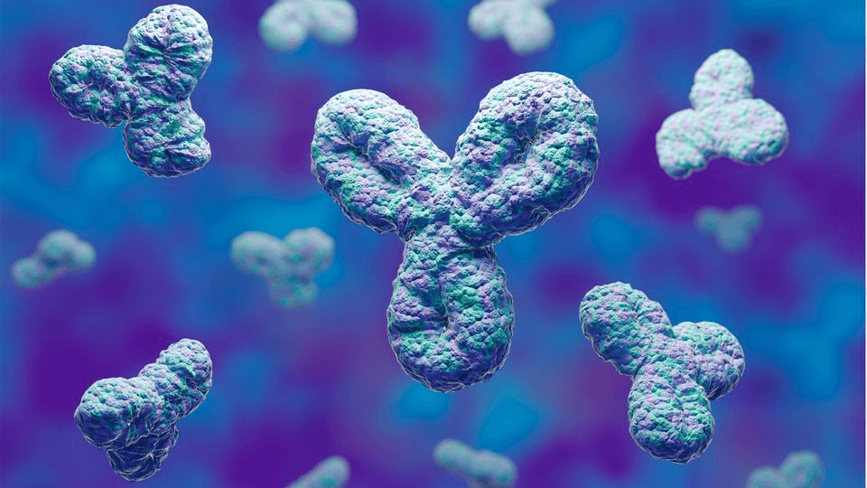 Biosensing (Optical & Electrochemical Systems)